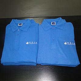 Polo ko'ylak A3 t shirt printer WER-E2000T tomonidan tayyorlangan bosma namunadir